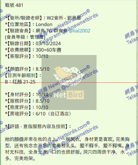 戰號 481 2.png
